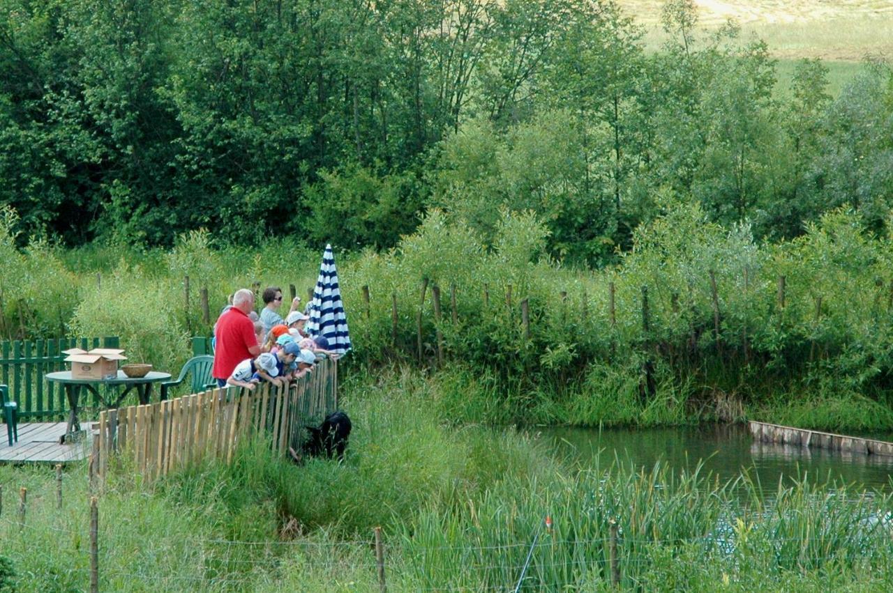 Wodne Ogrody Vila Dobczyce Exterior foto
