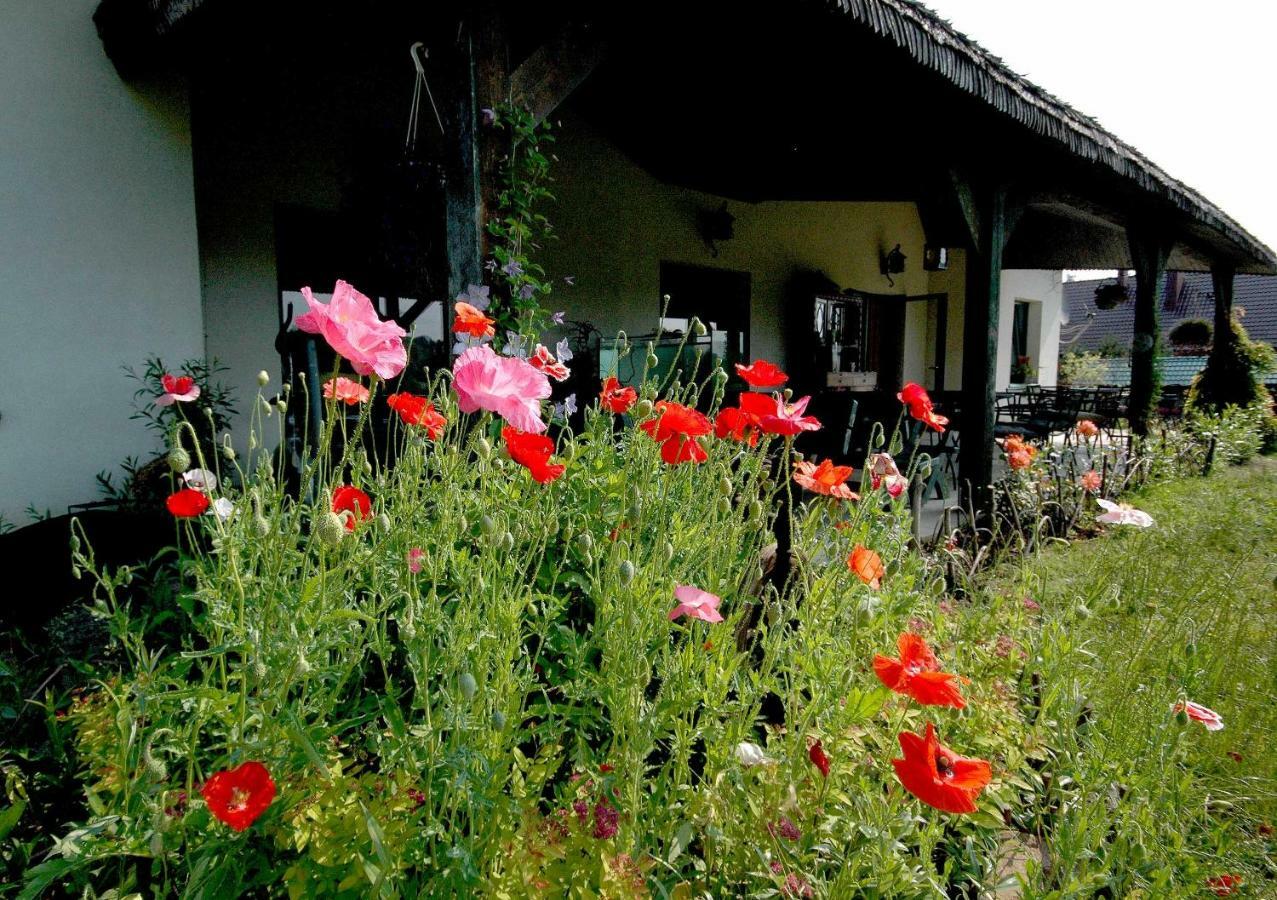 Wodne Ogrody Vila Dobczyce Exterior foto